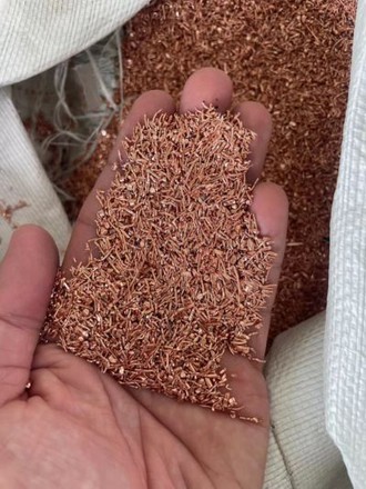 product-400-533 product-400-533